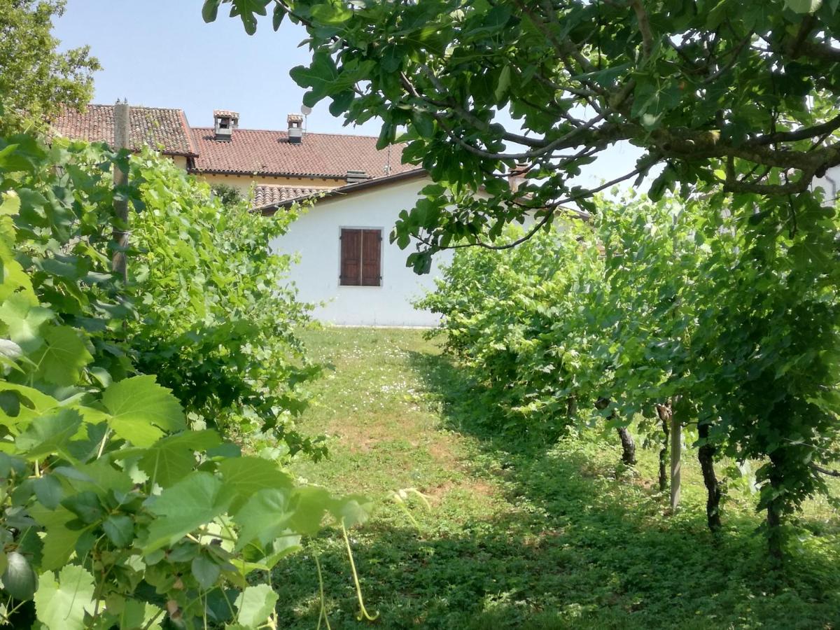 La petite maison - B&B