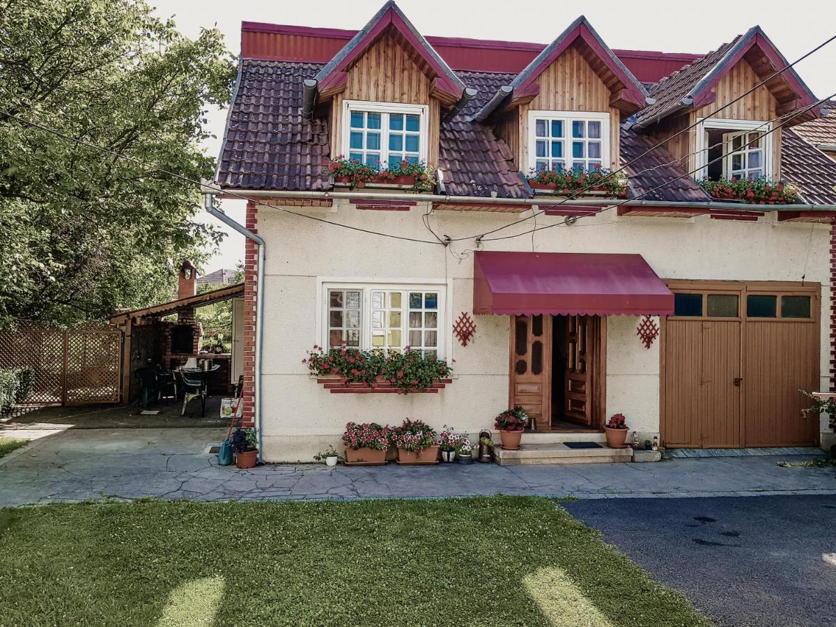 Pensiunea Bunea - B&B Haţeg