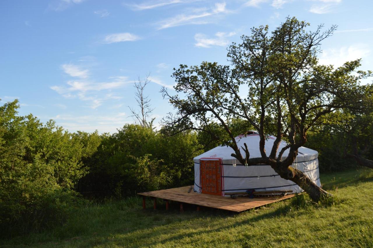 Camping v Ráji - Palda