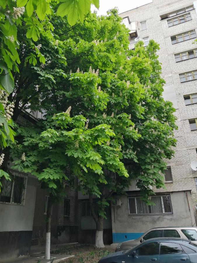 Апартаменты у МОРЯ - Ferienwohnung Odessa