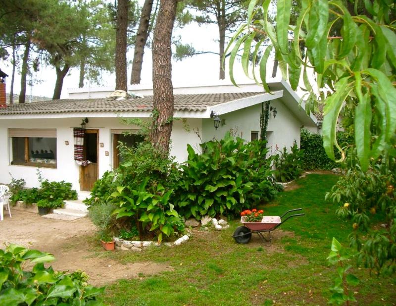 Aventura II - B&B