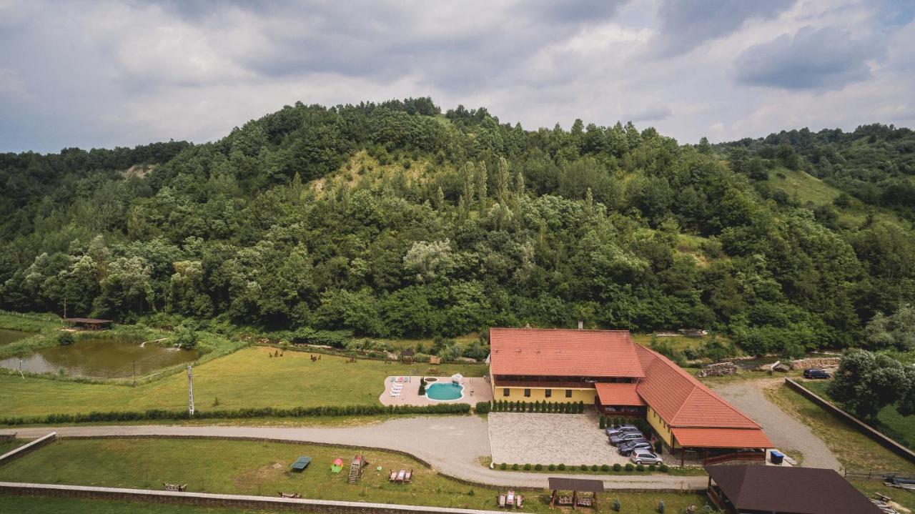 Pensiunea Cosău - B&B Ocna Şugatag