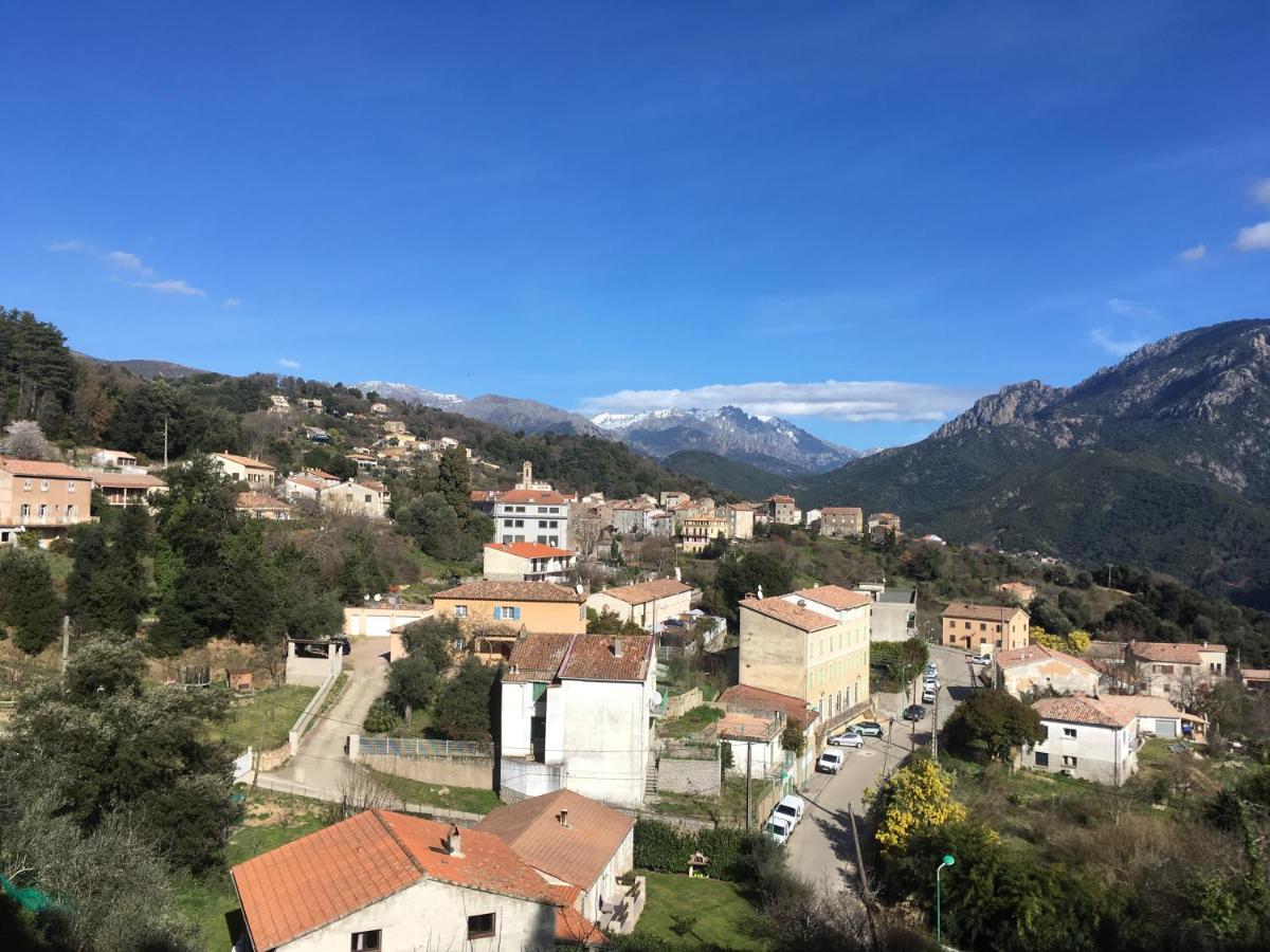 Petite maison proche de la nature - B&B