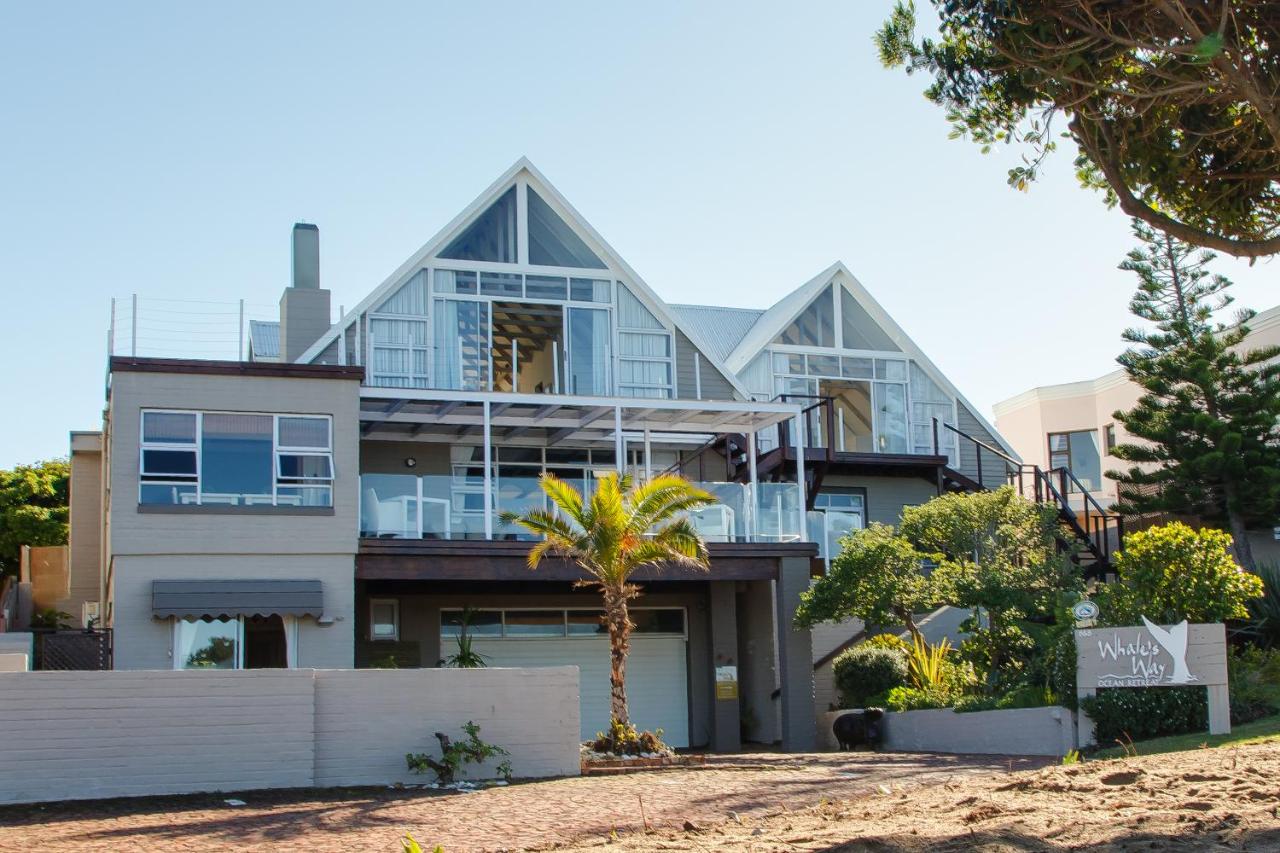 Whales Way Ocean Retreat - Bed and Breakfast Wilderness
