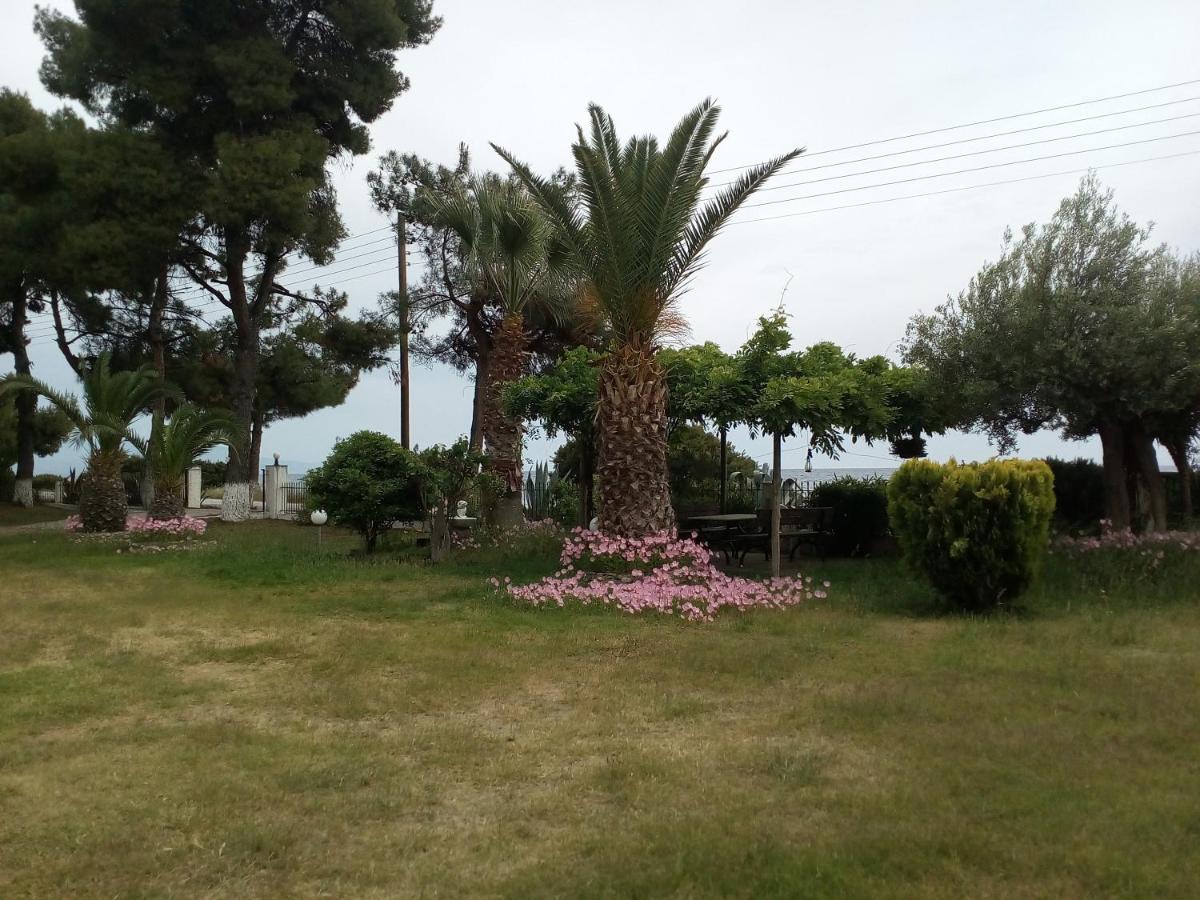 Entire Appartment 50m from sea - Spiros - B&B