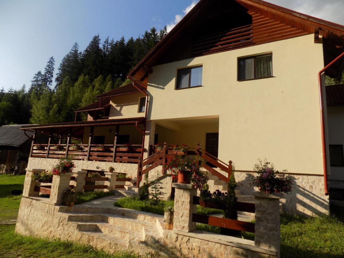 Pensiunea agroturistică Casa Brădeana - B&B Albac