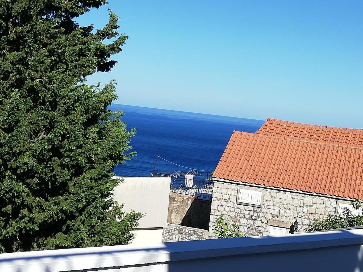 B&B Petrovac na Moru - Dolores Apartments - Bed and Breakfast Petrovac na Moru