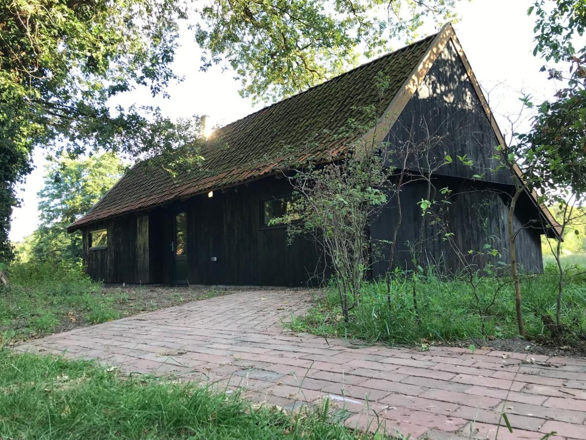 Ecolodge bungalow