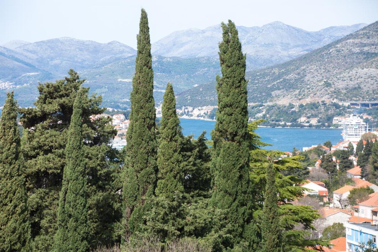 Spacious apartment near the old town - Bed and Breakfast Dubrovnik