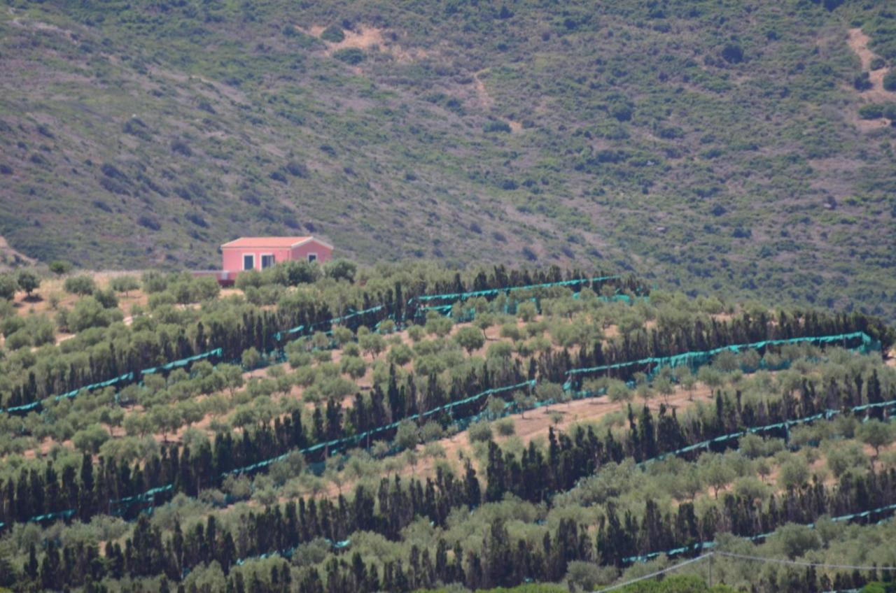 Villetta Olivia Casa in collina vista mare - Ferienwohnung