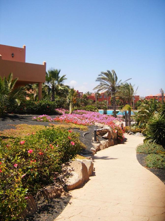 MY PRETTY HOME - Lovely and spacious surrounded by tropical gardens - private covered and uncovered terrace - pool - parking - FREE FIBRE OPTIC INTERNET - Bed and Breakfast Corralejo