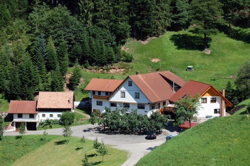 B&B Bad Peterstal-Griesbach - Holderstanzenhof - Bed and Breakfast Bad Peterstal-Griesbach