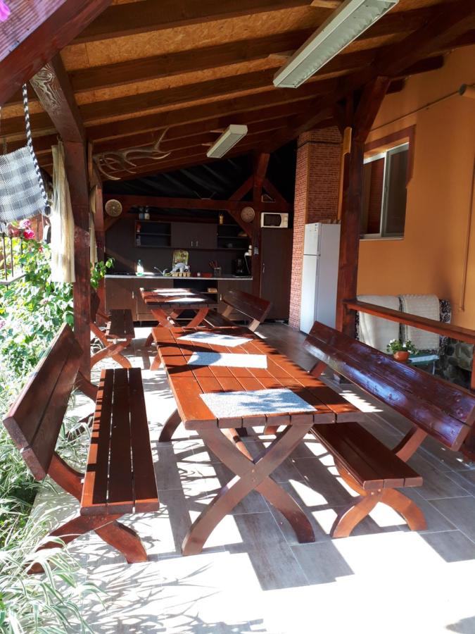 Pensiunea Sonia - Bed and Breakfast Cârţişoara
