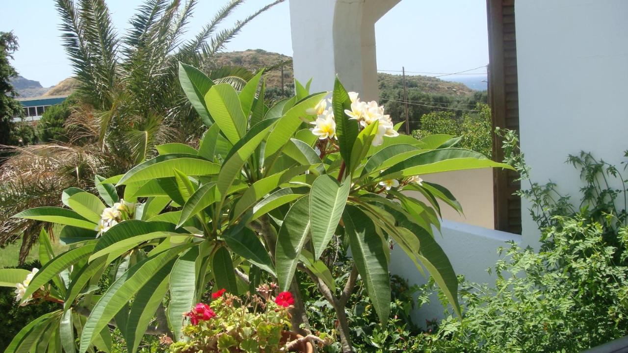 Monolocale Triplo Standard