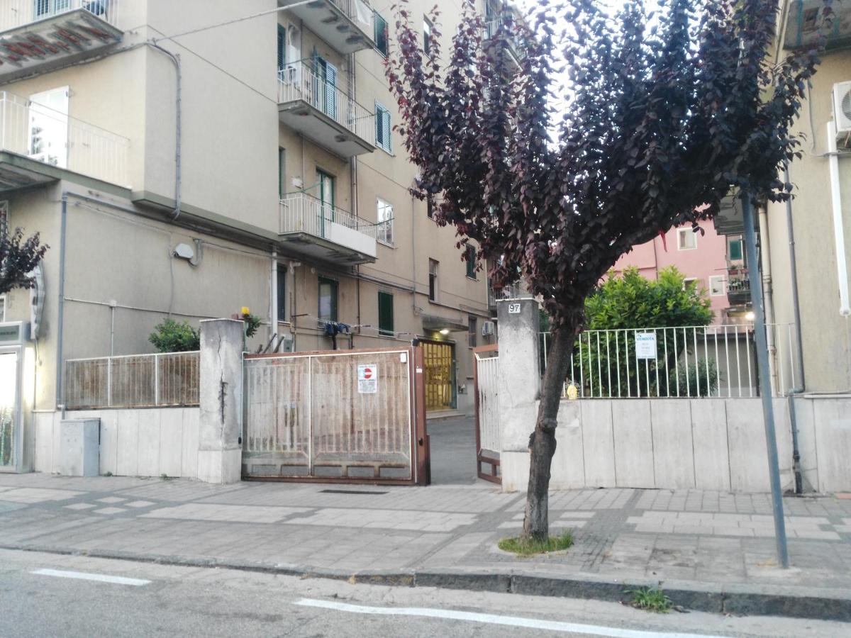 Bed and Breakfast Picentia 19 - B&B