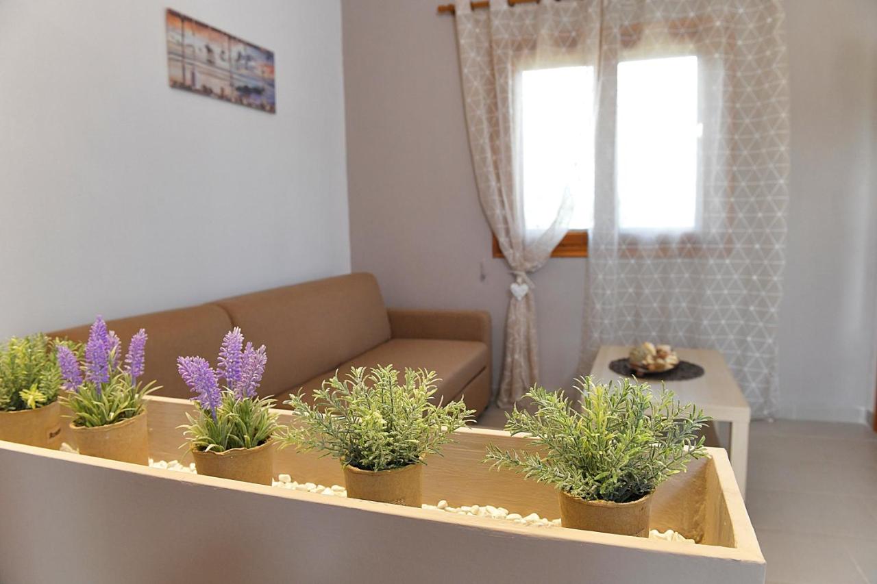 B&B Psakoudia - Elaionas Apt. - Bed and Breakfast Psakoudia