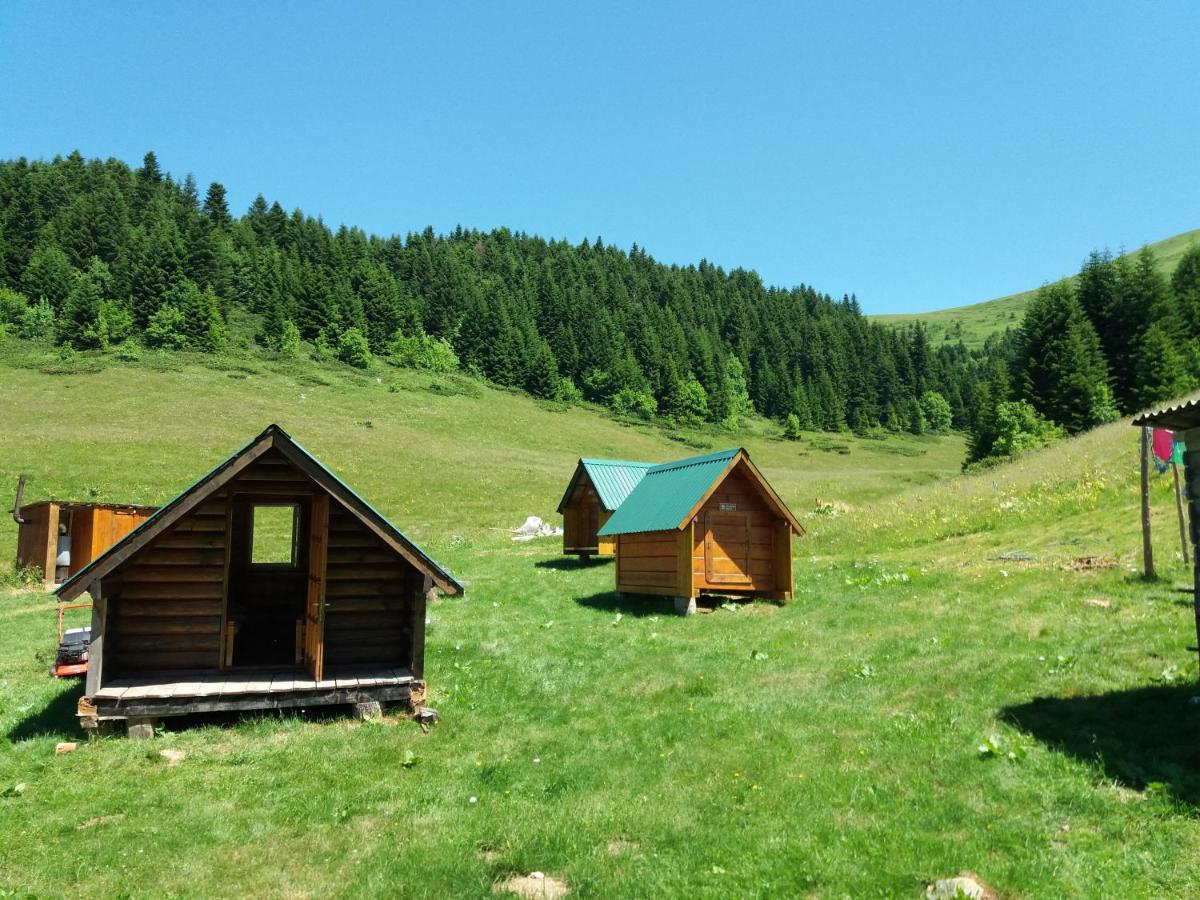 Eko Katun Damjanovic - Bjelasica - B&B