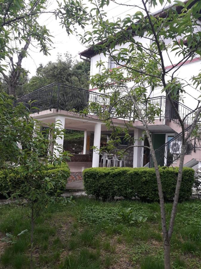 Casa Ade - B&B Călimăneşti