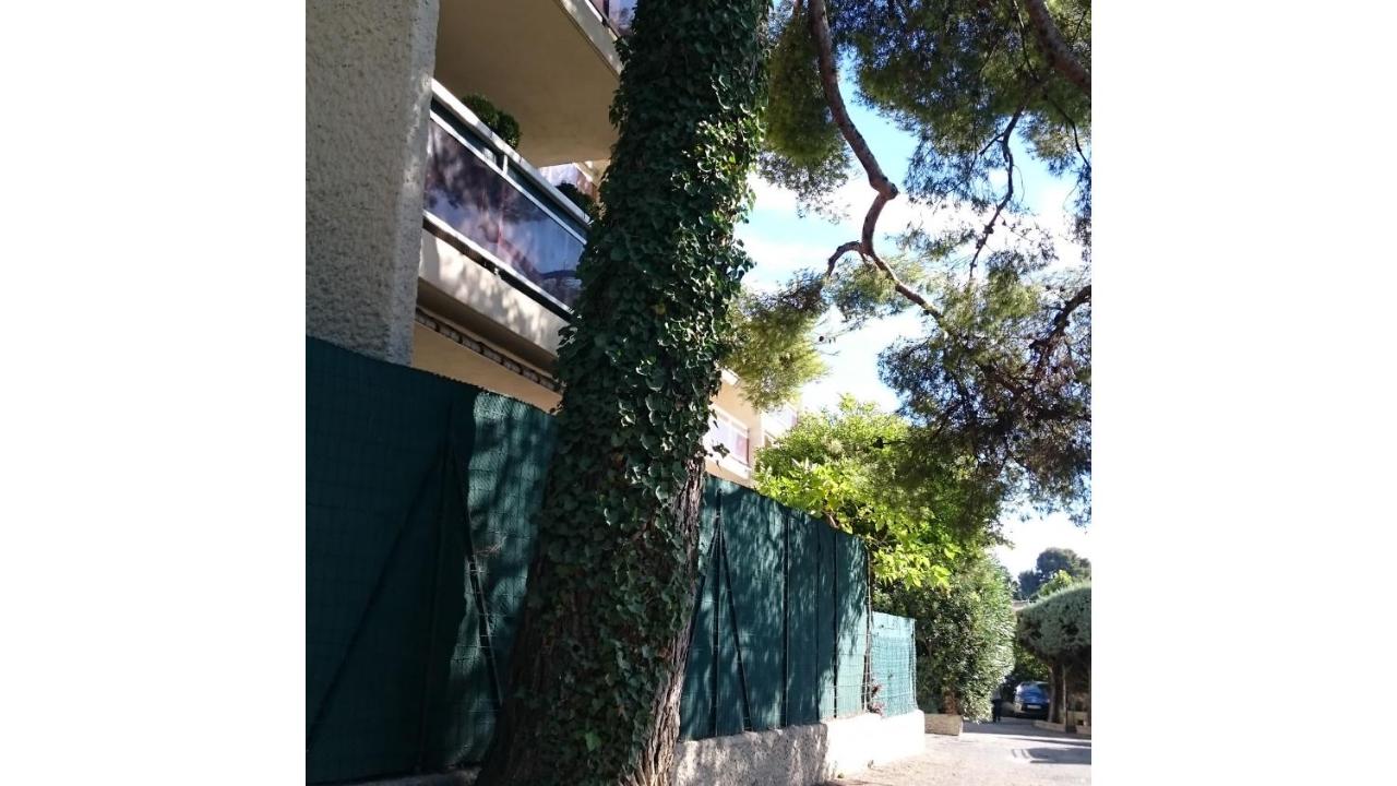 charmant studio - B&B Cassis