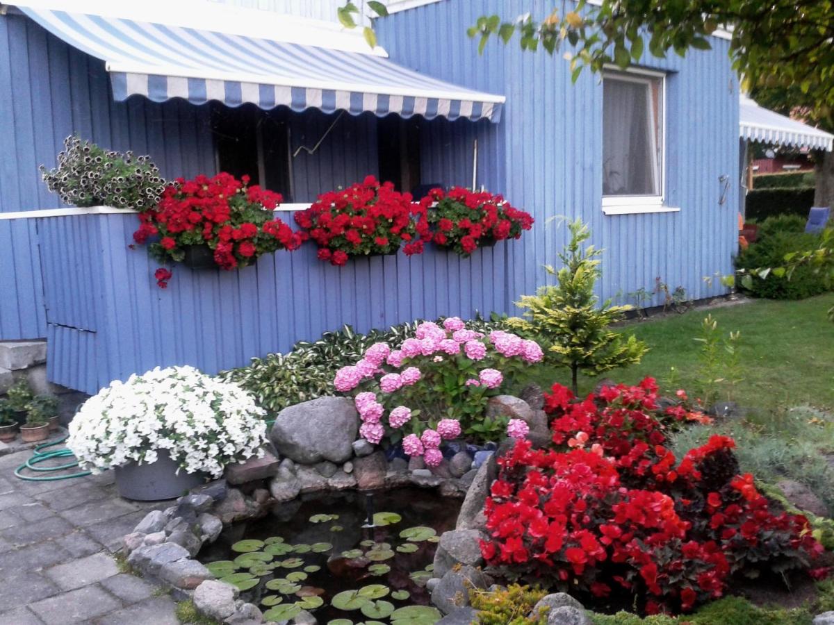 Kambarių nuoma ant marių kranto - B&B