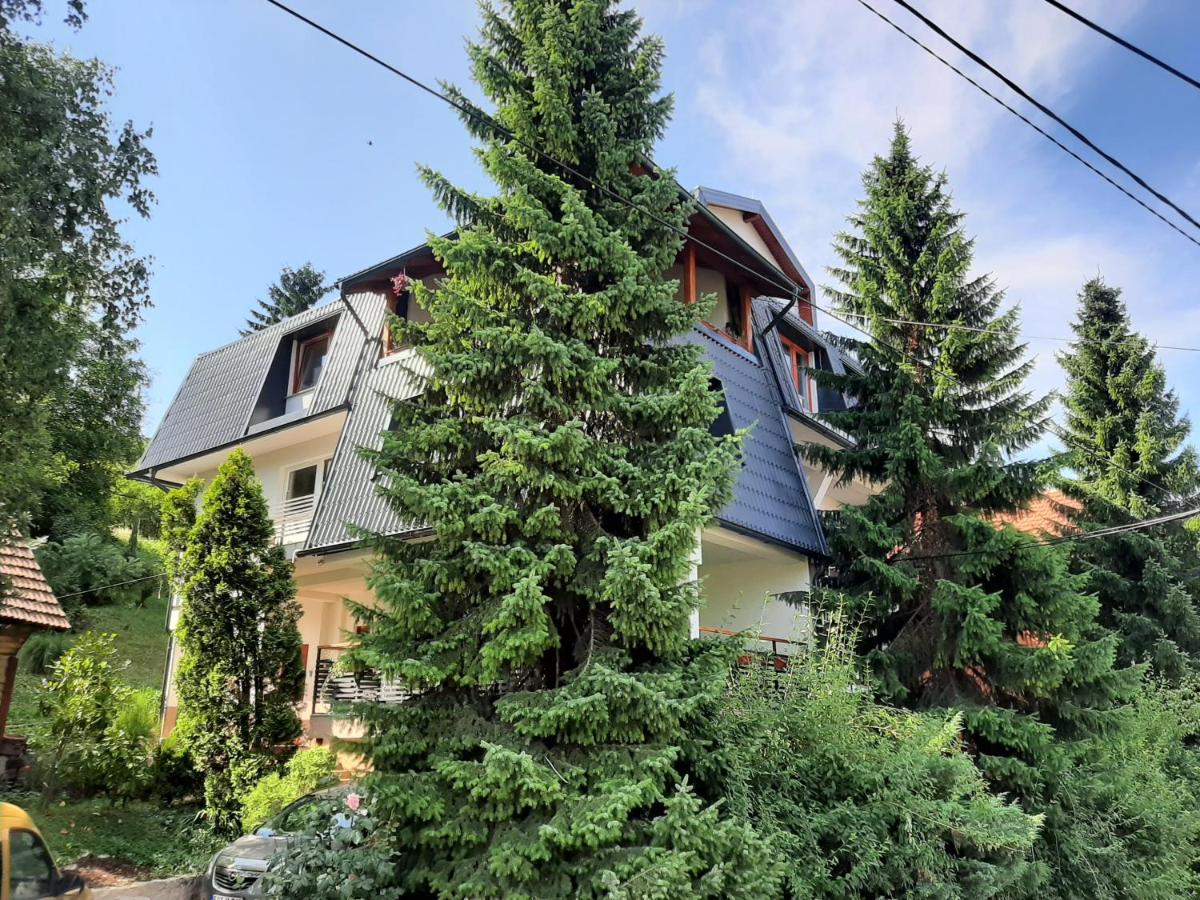 Guesthouse Hill - B&B