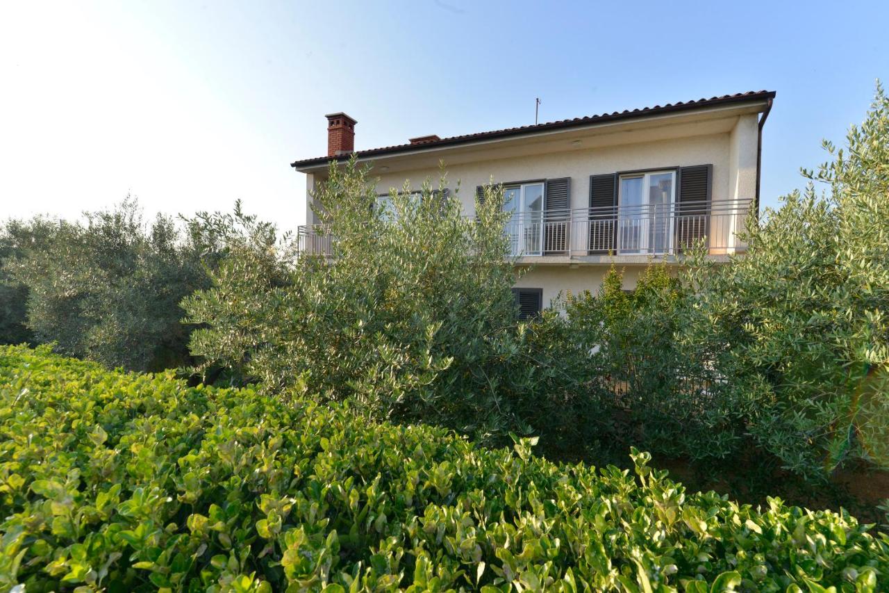 Apartman Meri Pula - B&B