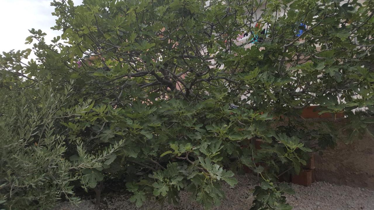 Apartment mit Terrasse