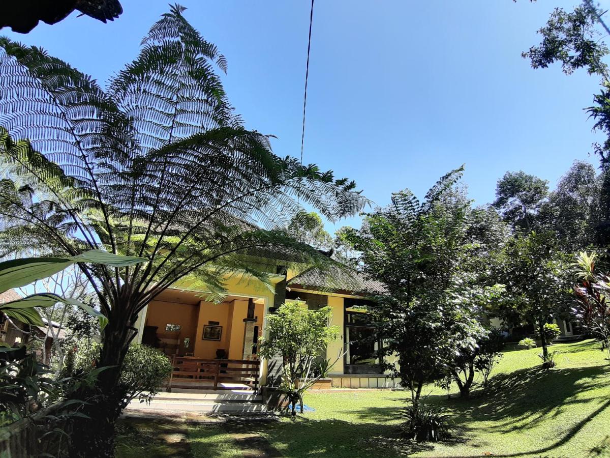 Standard Bungalow