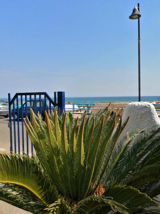 Monolocale Tirreno studio seafront - B&B