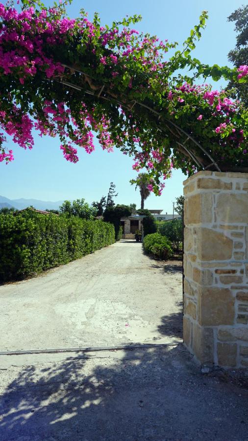 Studio Eleni - Oasis holiday houses - B&B Kókkinos Pýrgos