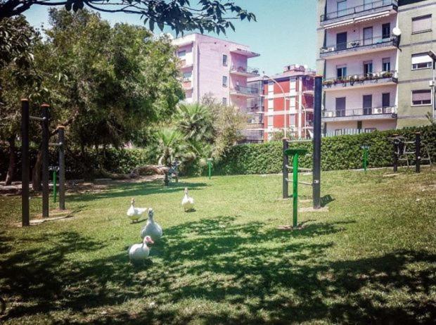 B&B Natù - B&B