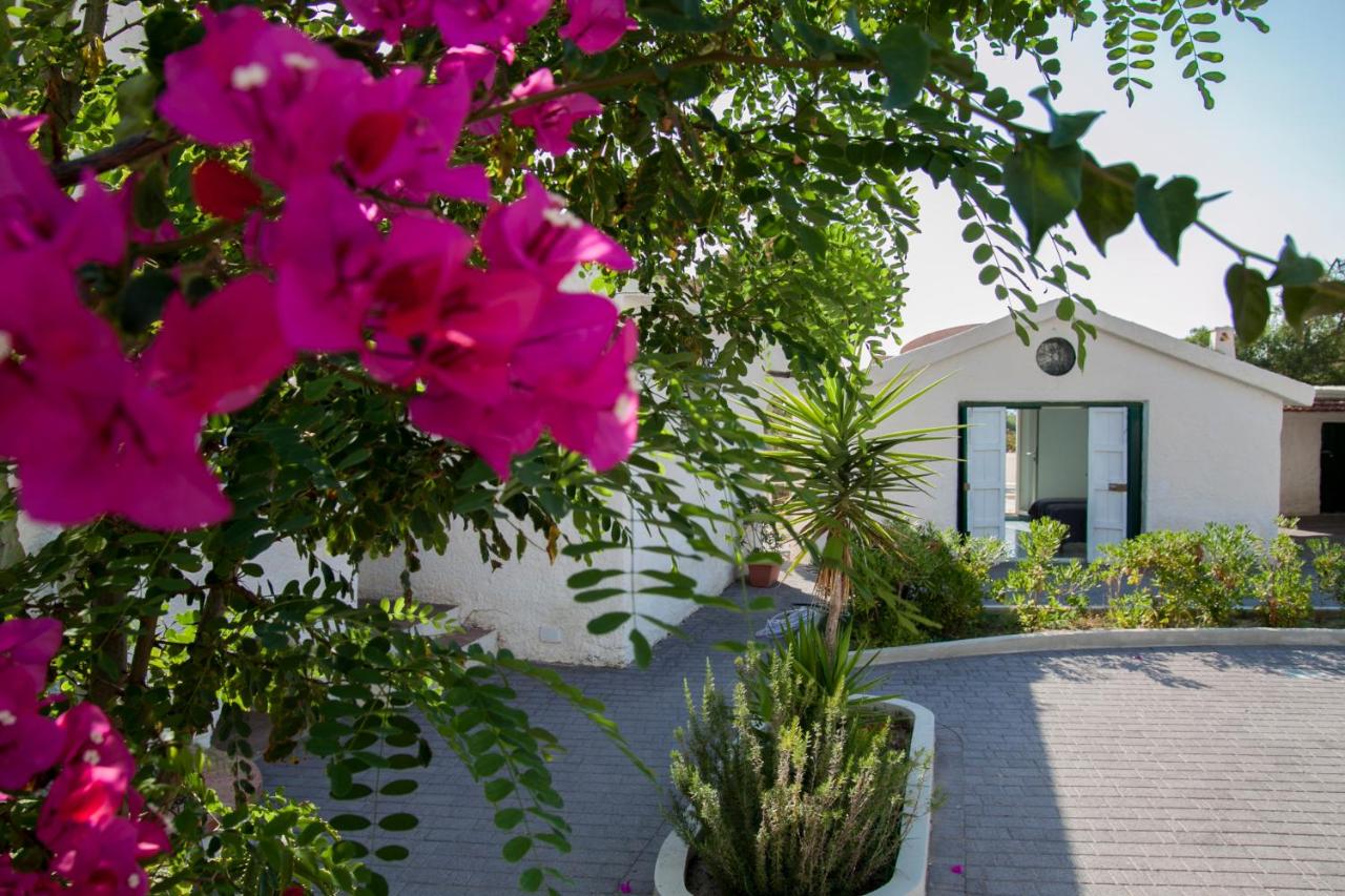 Villa Palma - B&B San Lino