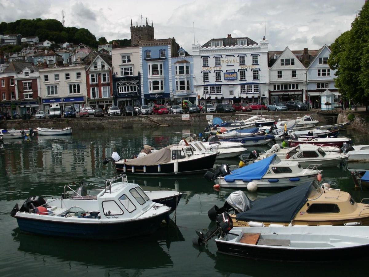 BUMBLEBEE - B&B Dartmouth