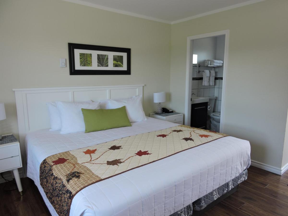 Suite Deluxe