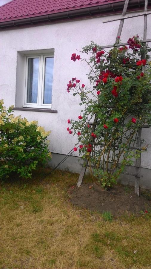 Zagroda u Leny - Dom na wyłączność - B&B