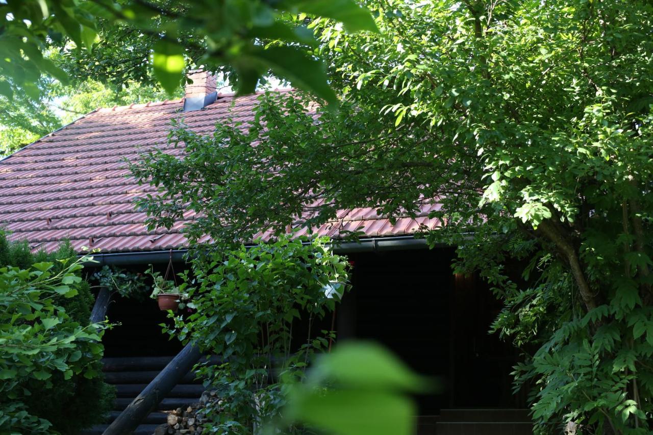 Kuća za odmor MARA - B&B Duga Resa