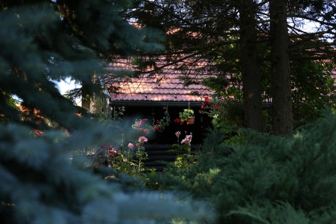 Kuća za odmor MARA - Bed and Breakfast Duga Resa