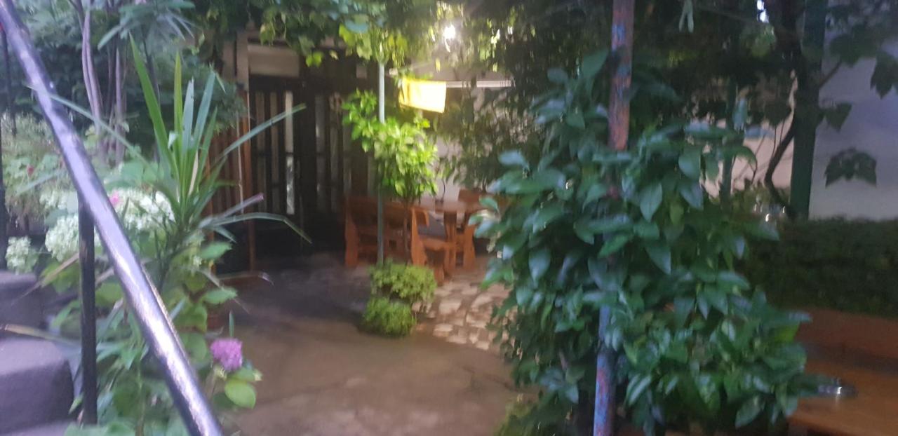 Свети Никола - B&B Sinemorets