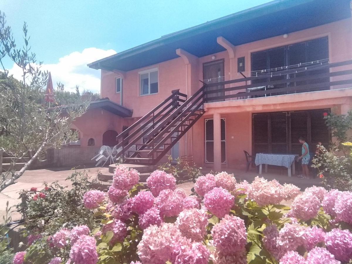 Apartmani Sofija - Ferienwohnung Nov Dojran