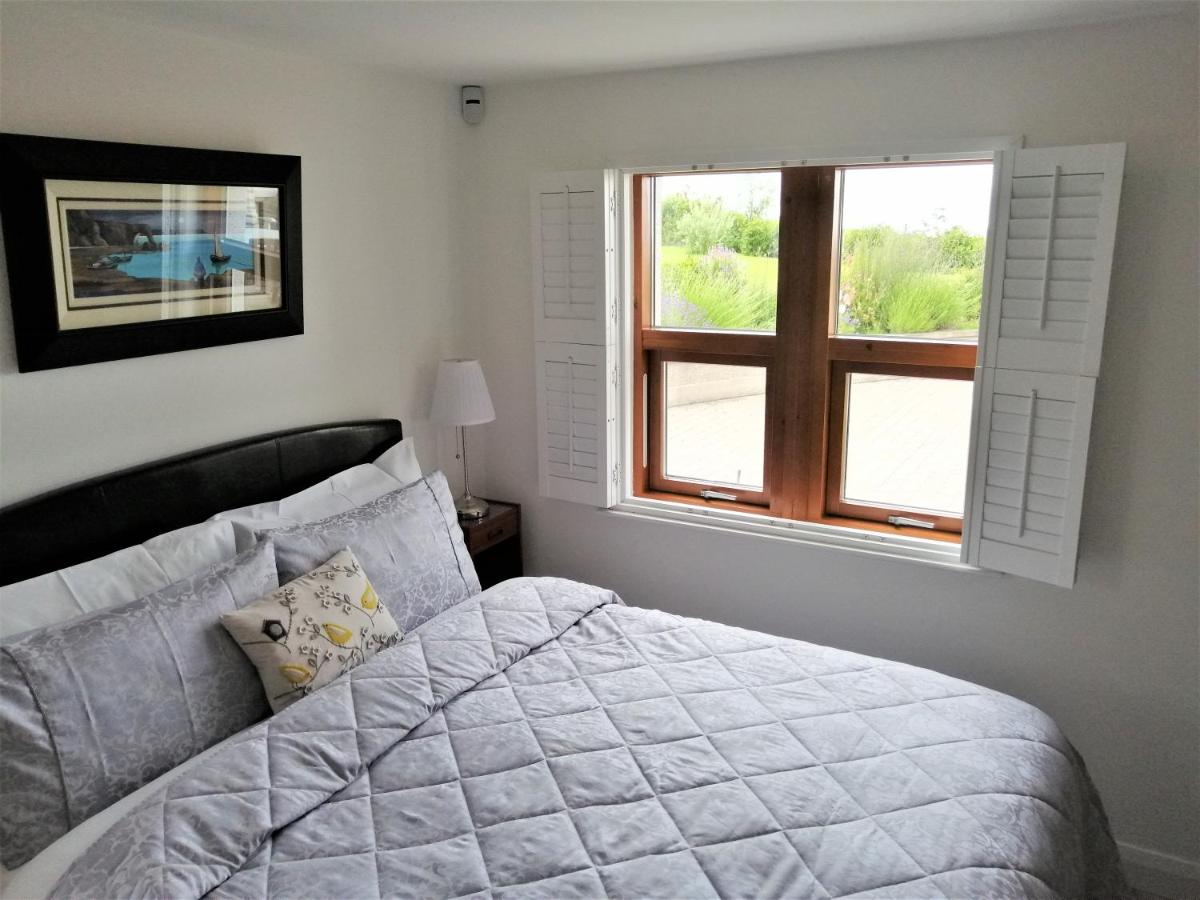 B&B Larne - BallyCairn Self Catering Studio - Bed and Breakfast Larne