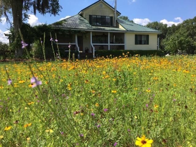Kokomo Farms - B&B