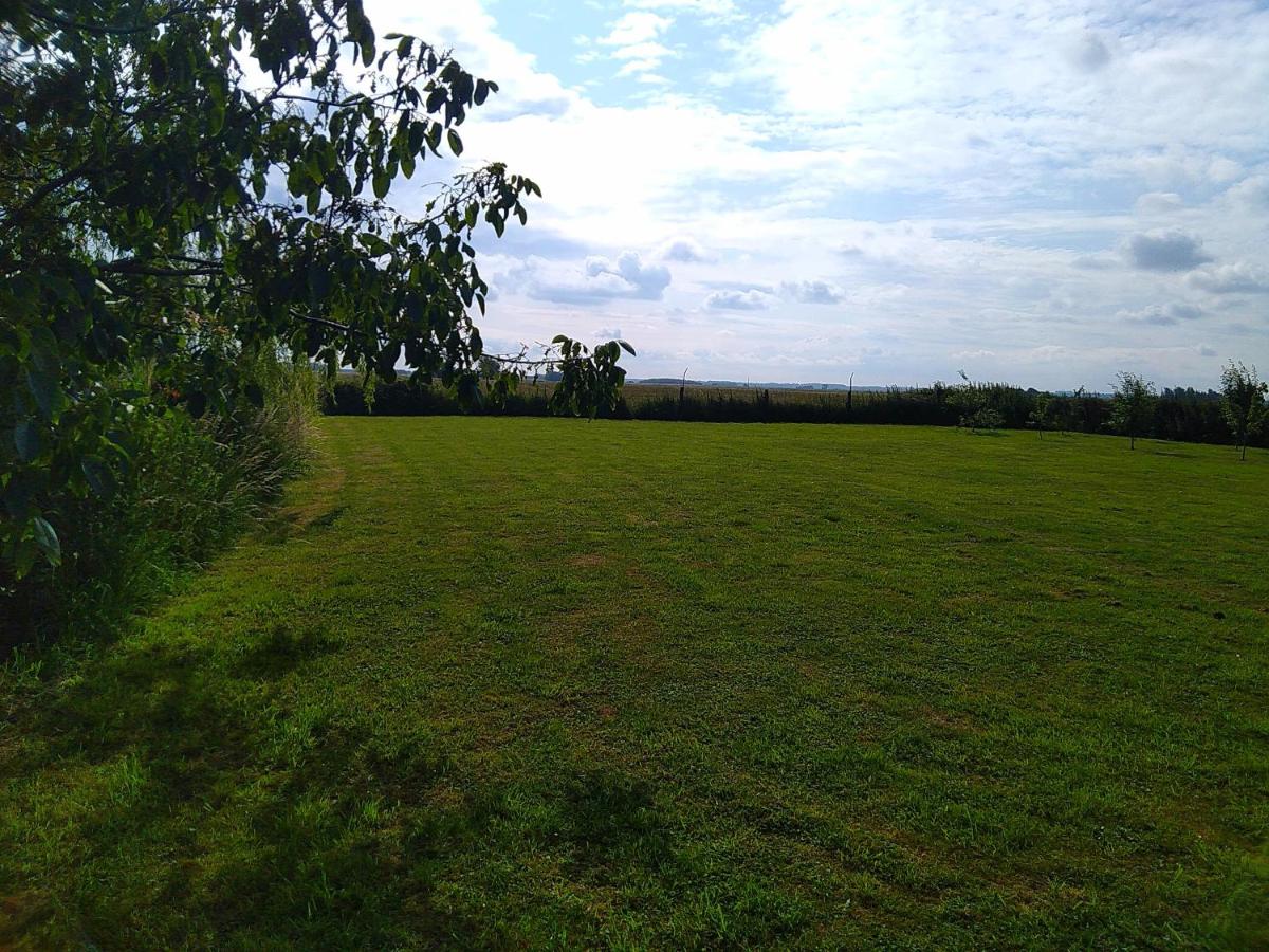 Little Owls Nest Holiday Home - B&B Wisbech