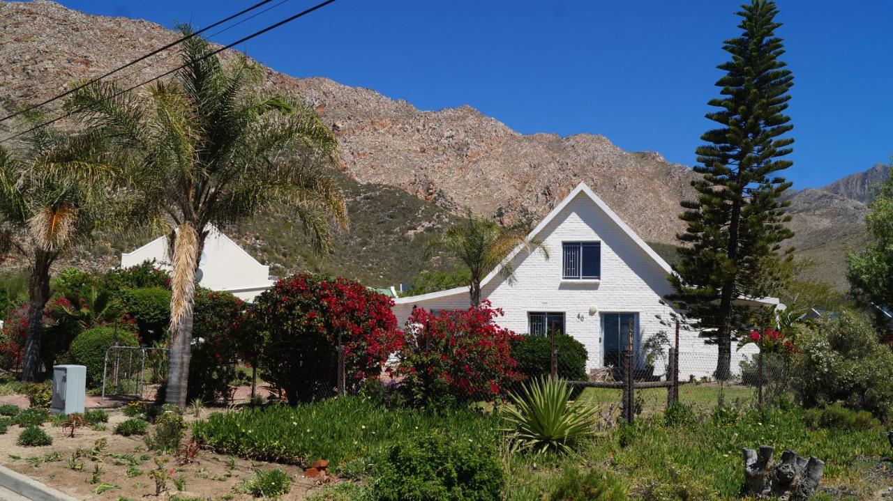 B&B Montagu - White lily - Bed and Breakfast Montagu