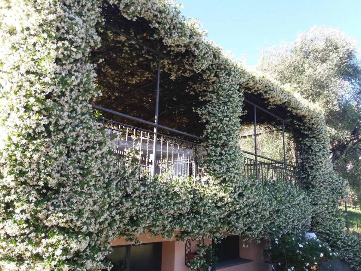 Casa Intignano - appartamento con terrazzo vista lago - B&B Tremezzo