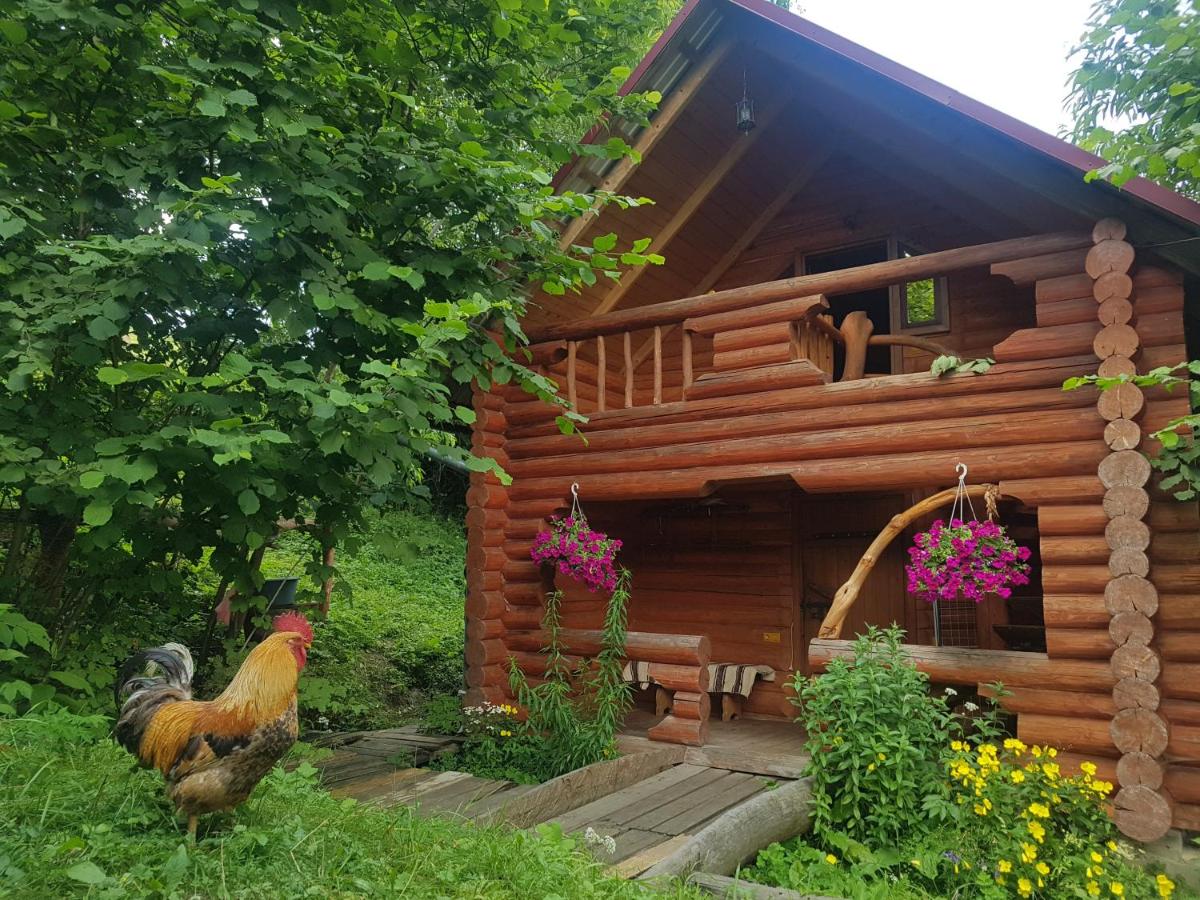 B&B Roztoka - У Медовому Раю - Bed and Breakfast Roztoka