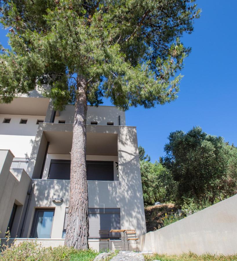 The Pine Flat - B&B