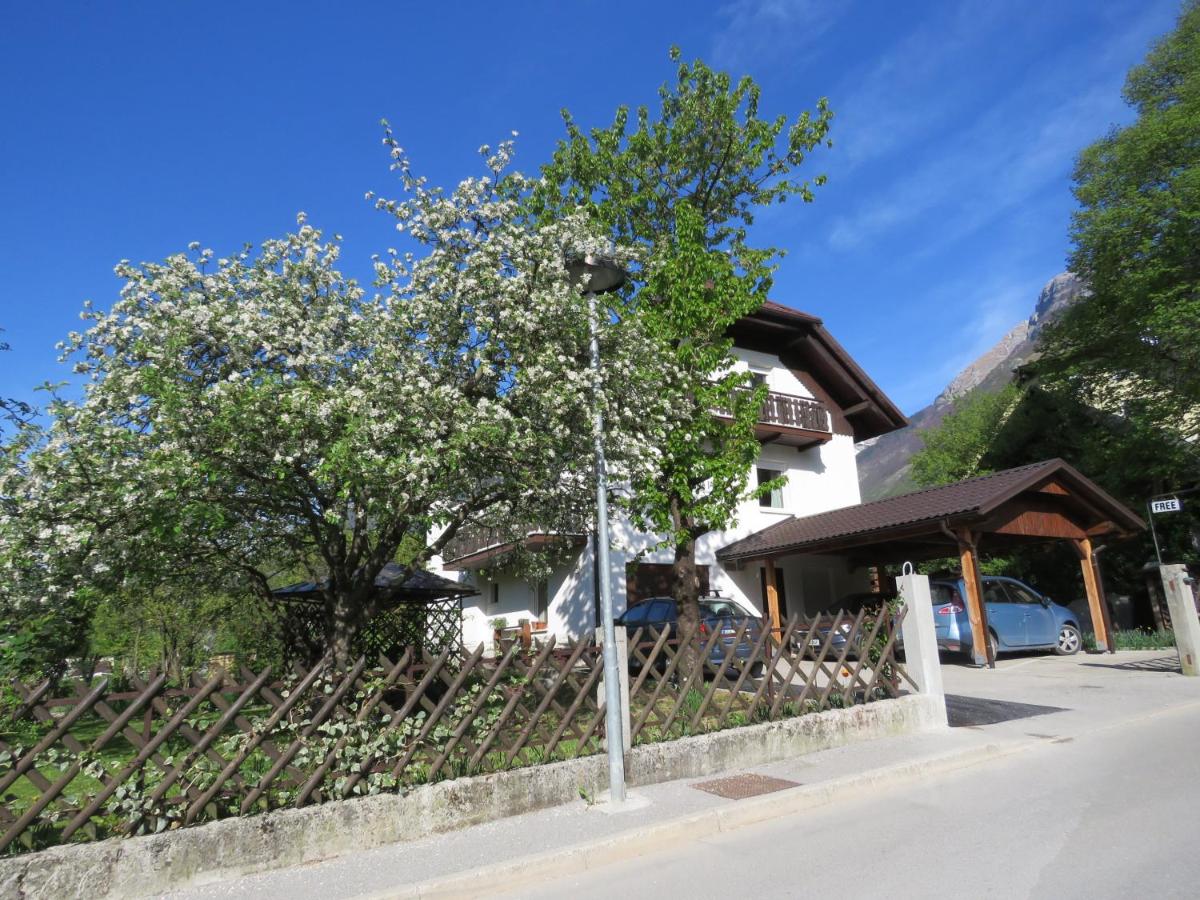 B&B Bovec - Apartma Jager - Bed and Breakfast Bovec