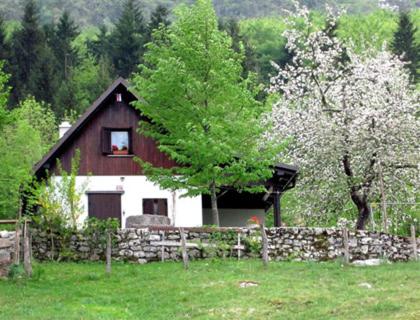 Počitniška hiška Jager Čezsoča - B&B