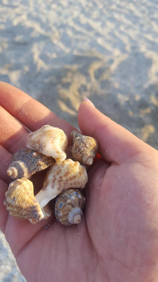 Appartamento con Vista Mare