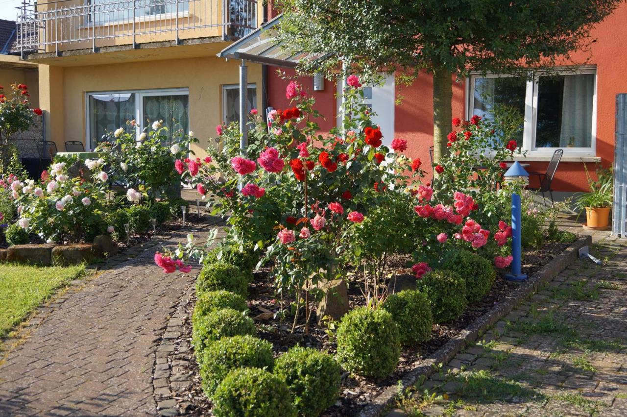 B&B Kapellen-Drusweiler - Ferienhaus Schloss-Garten - Bed and Breakfast Kapellen-Drusweiler